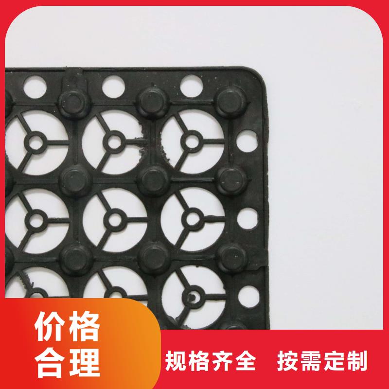 蓄排水板长丝土工布真诚合作