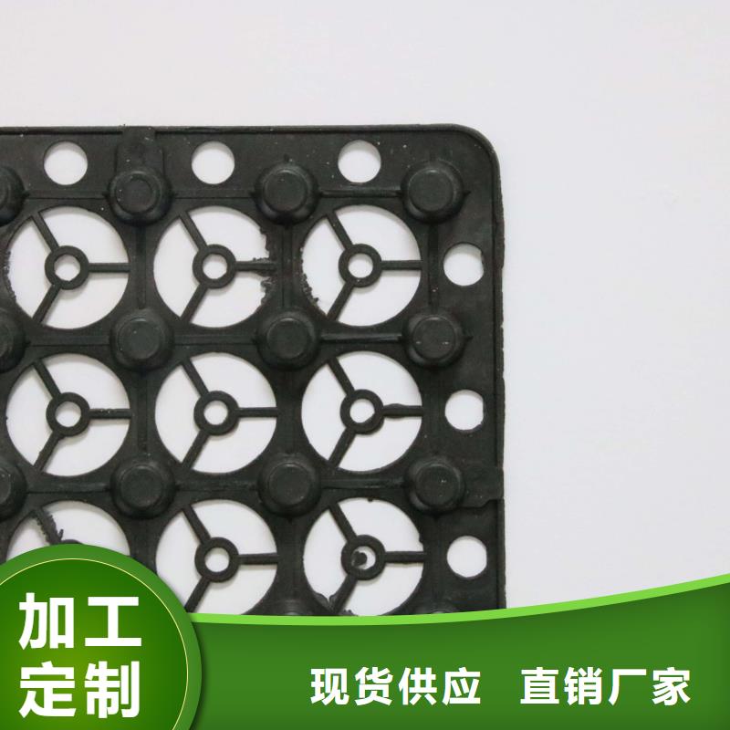 【蓄排水板】 土工格室质量好|土工格室-鼎诺土工材料(扬州市分公司)