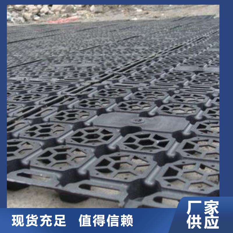 蓄排水板雙向塑料土工格柵服務始終如一