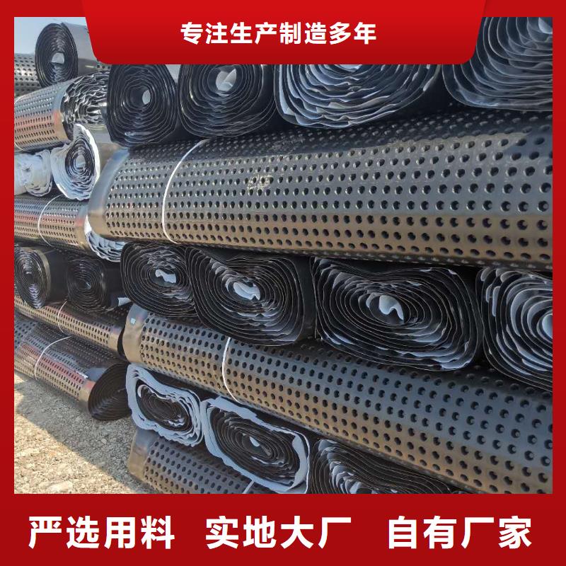 蓄排水板土工格室源廠定制