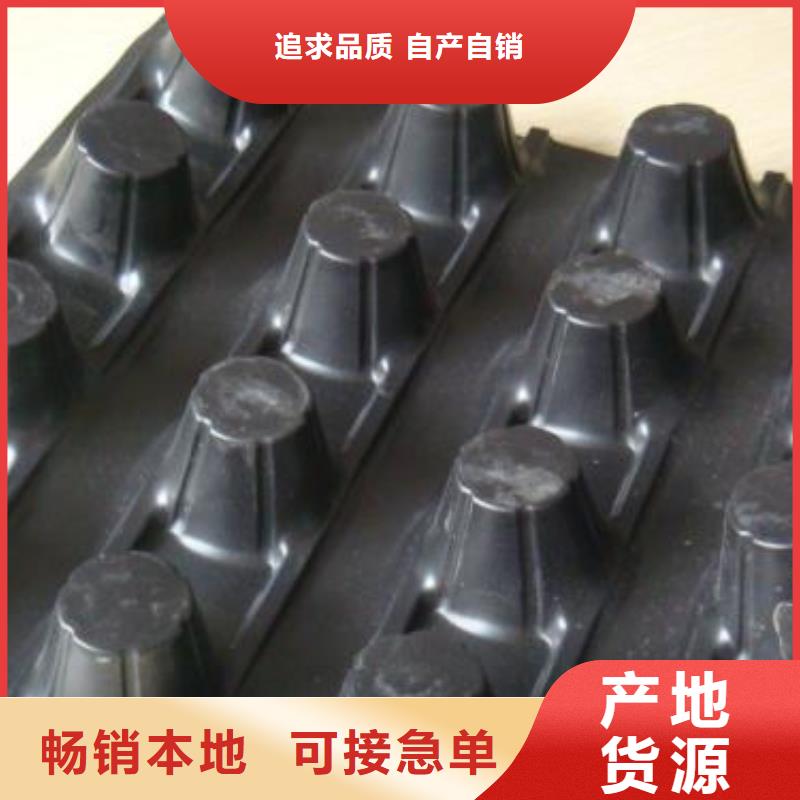 蓄排水板土工格室源廠定制