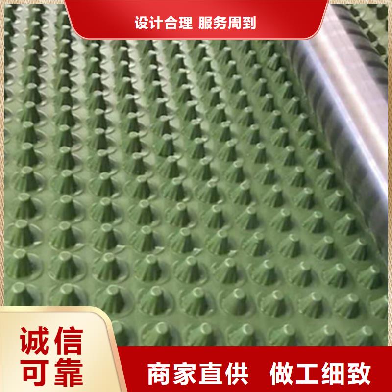蓄排水板雙向塑料土工格柵服務始終如一