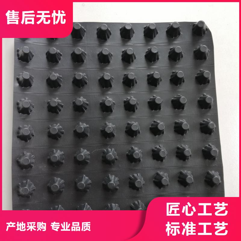 蓄排水板,雙向拉伸土工格柵誠信商家服務(wù)熱情