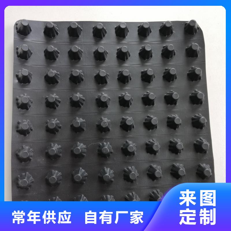 蓄排水板雙向塑料土工格柵服務始終如一