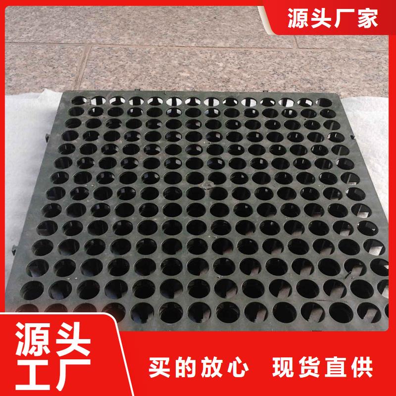 蓄排水板土工格室源廠定制