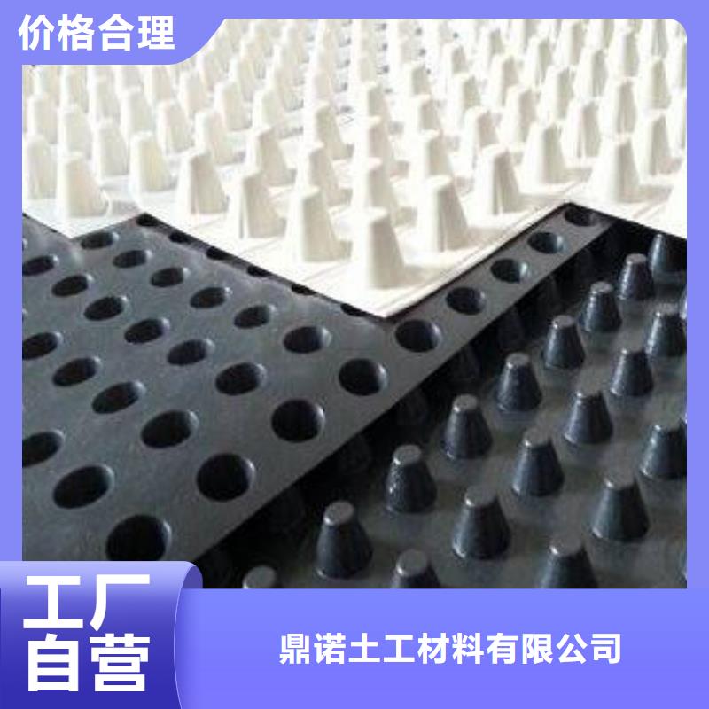 蓄排水板,三維植被網實力廠家直銷