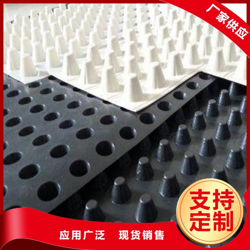 蓄排水板三維植被網(wǎng)現(xiàn)貨滿足大量采購