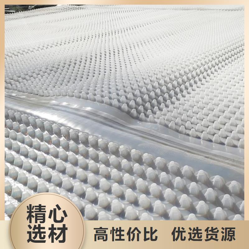 蓄排水板水土保護毯選擇我們沒錯