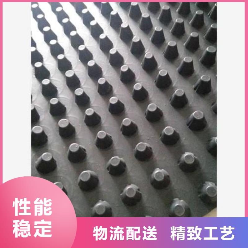 蓄排水板雙向塑料土工格柵服務始終如一