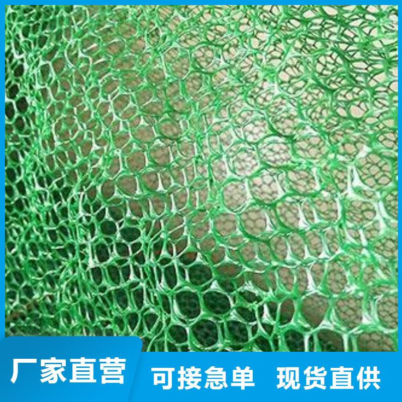 三維植被網(wǎng)土工席墊常年出售