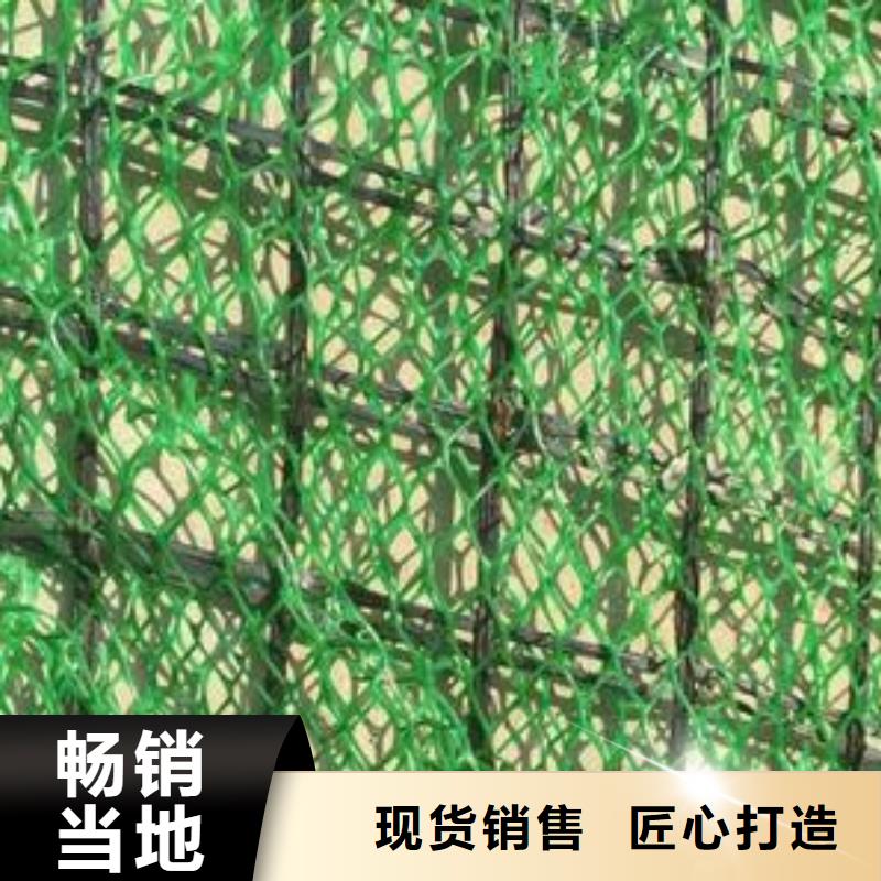 【三維植被網】長絲土工布當地貨源