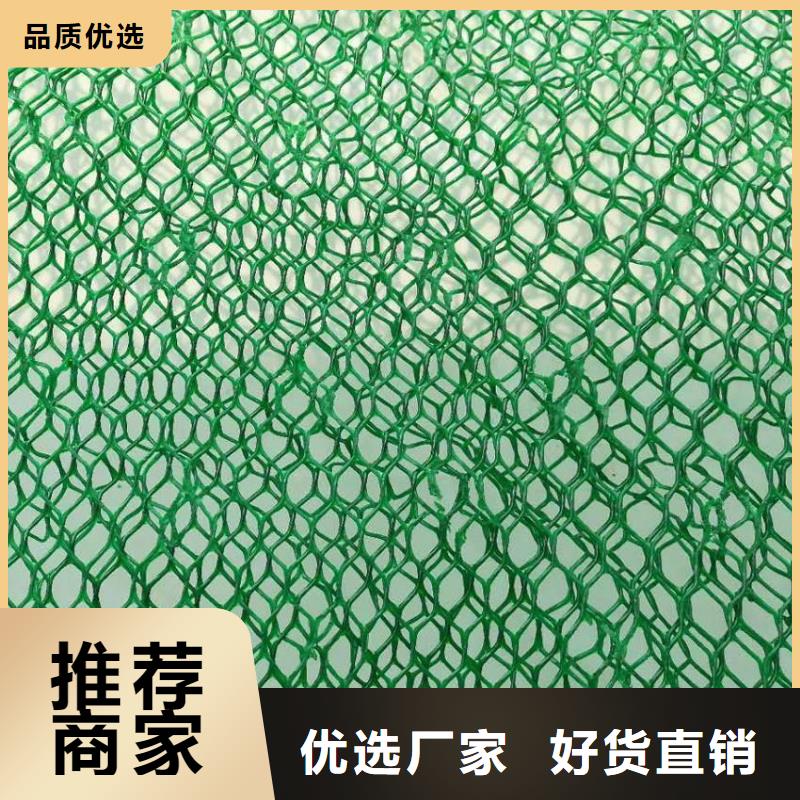 三維植被網(wǎng)土工席墊常年出售