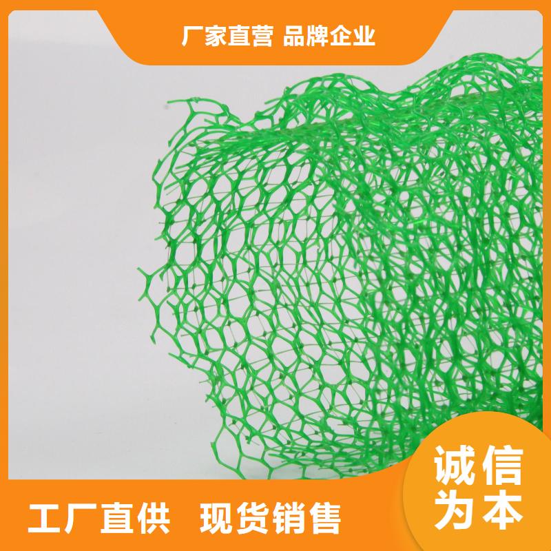 三維植被網(wǎng)護坡土工網(wǎng)多種規(guī)格可選