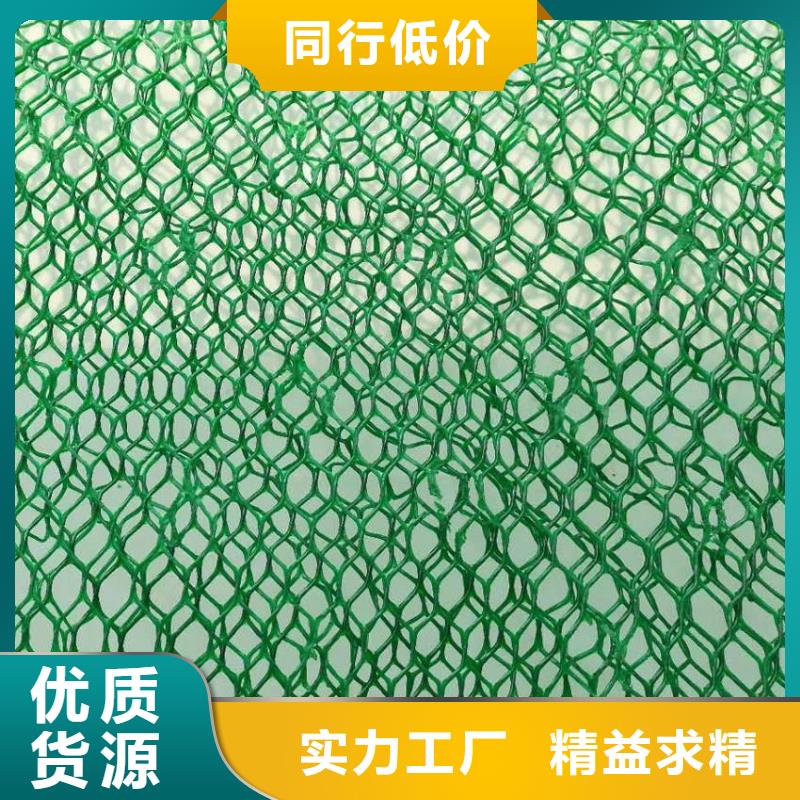 三维植被网_长丝土工布款式多样