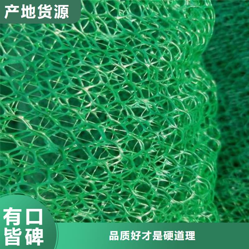 三維植被網(wǎng)復(fù)合土工膜實(shí)體廠(chǎng)家支持定制