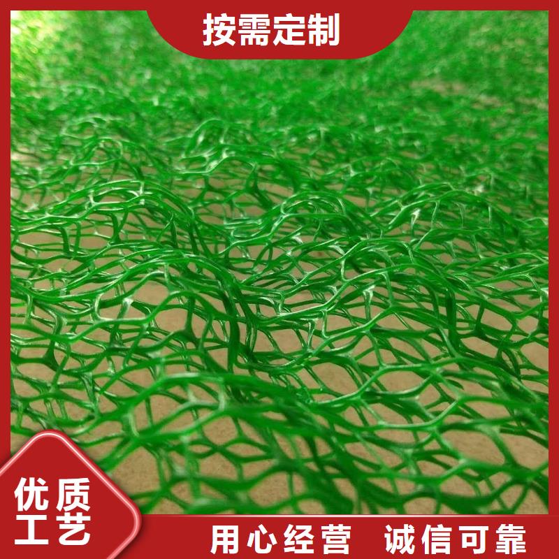 三維植被網三維復合排水網生產廠家
