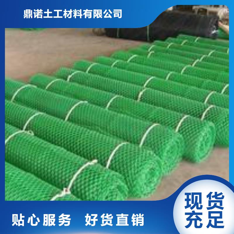 三維植被網三維復合排水網廠家直銷規格多樣