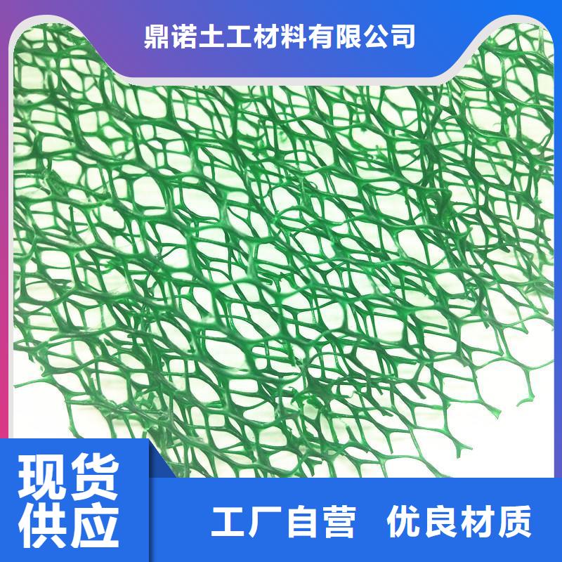 三維植被網膨潤土防水墊庫存充足