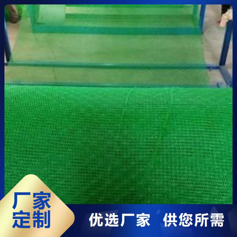 三维植被网塑料盲沟精选优质材料