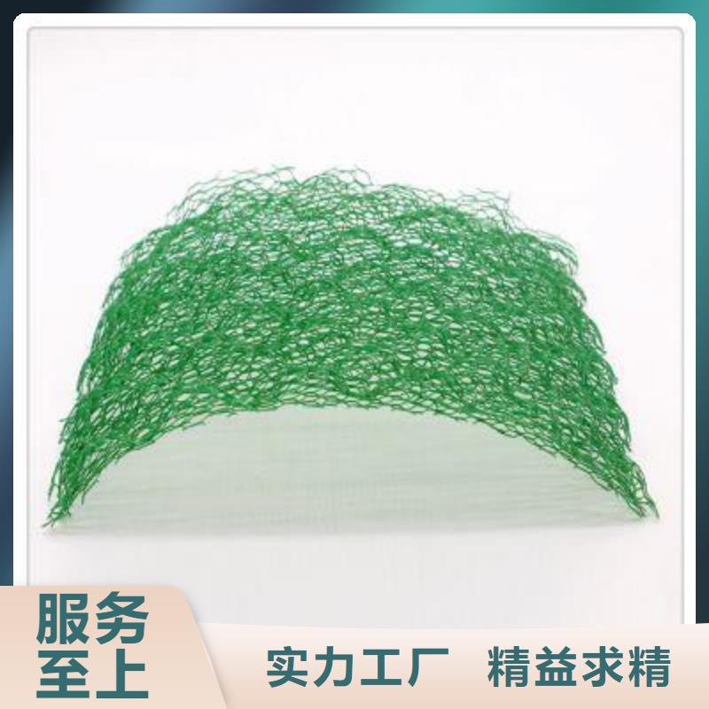 三維植被網三維復合排水網廠家直銷規格多樣