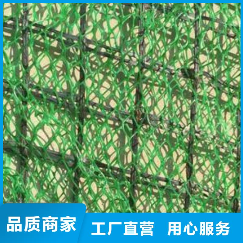 三维植被网土工席垫好产品不怕比