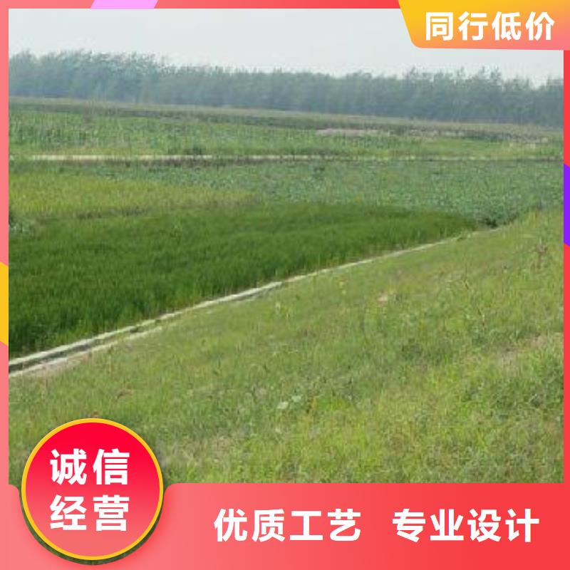 三維植被網凸結點鋼塑土工格柵源頭直供