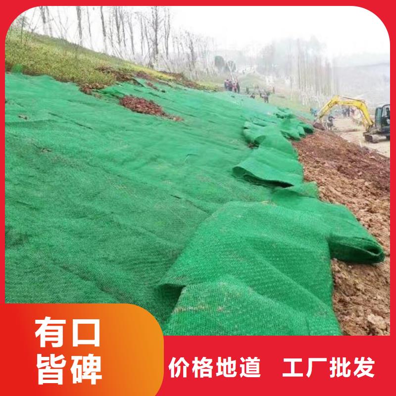 三维植被网双向塑料土工格栅大量现货