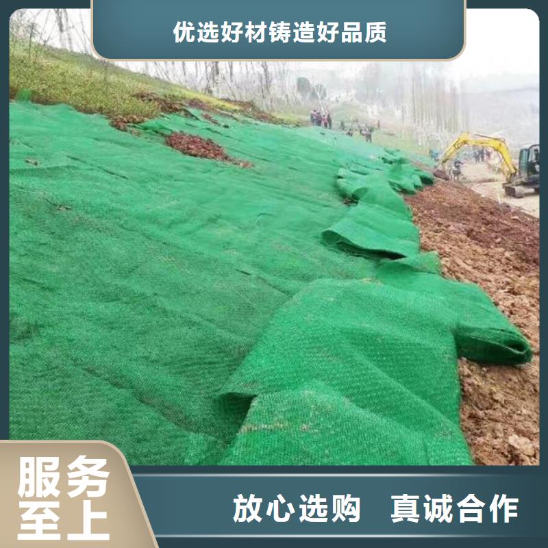 三維植被網護坡土工網專業生產品質保證
