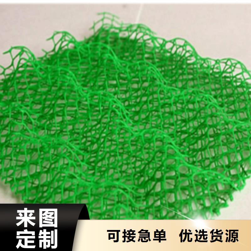 三維植被網(wǎng)凸結(jié)點(diǎn)鋼塑土工格柵源頭直供