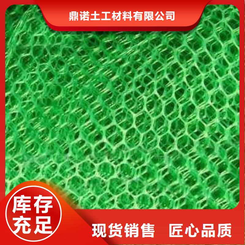 三維植被網膨潤土防水墊庫存充足