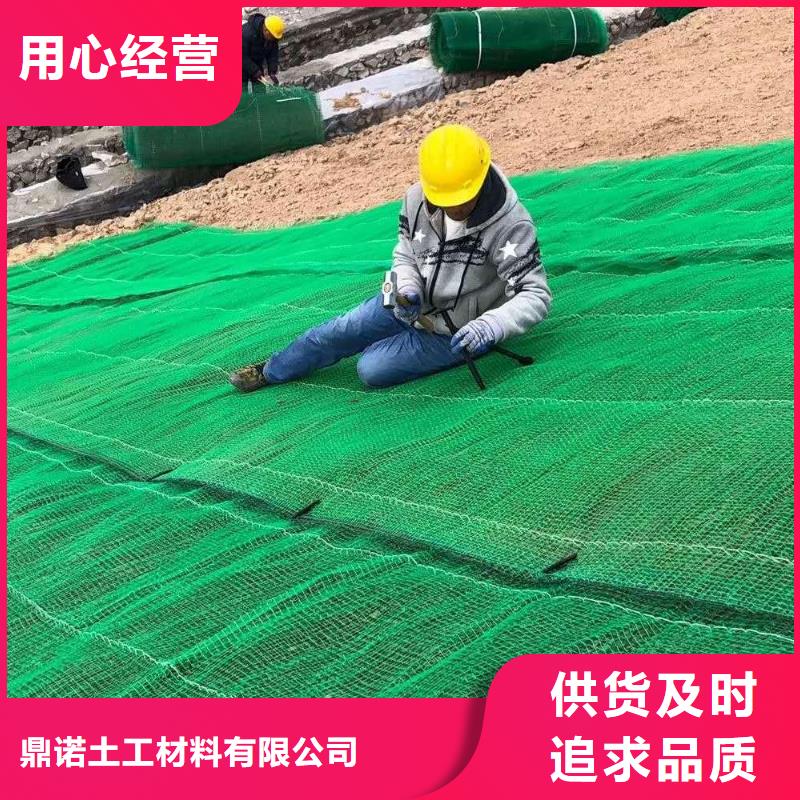 三维植被网双向塑料土工格栅大量现货