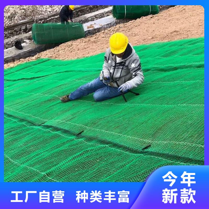 三維植被網水土保護毯品質服務誠信為本