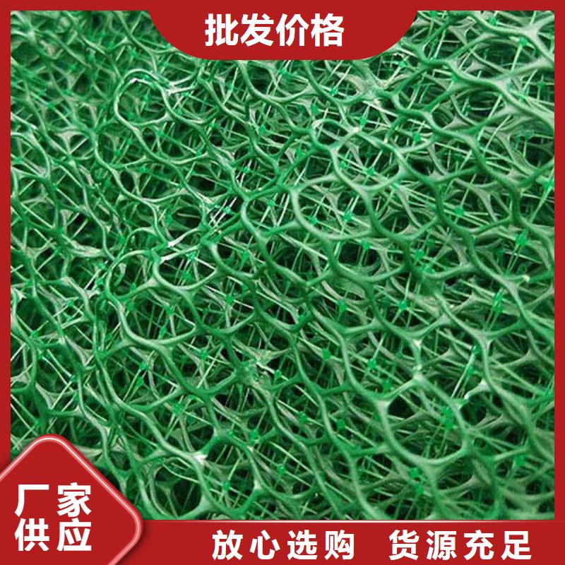 三維植被網-滌綸土工格柵價格實惠工廠直供