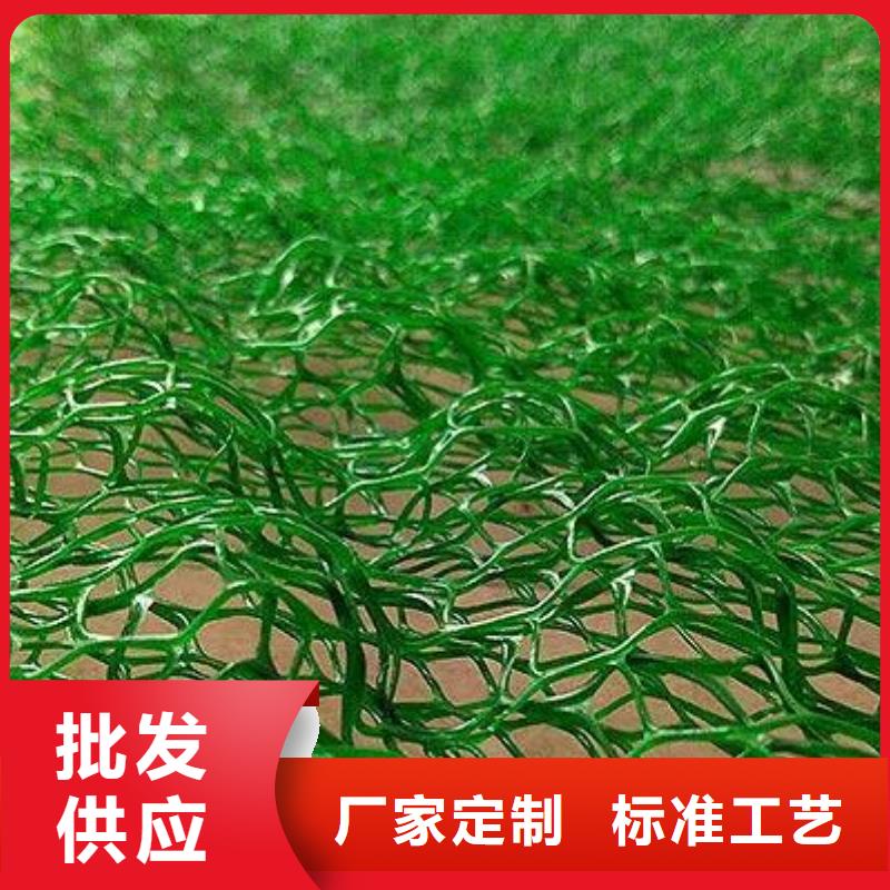 三维植被网双向塑料土工格栅大量现货