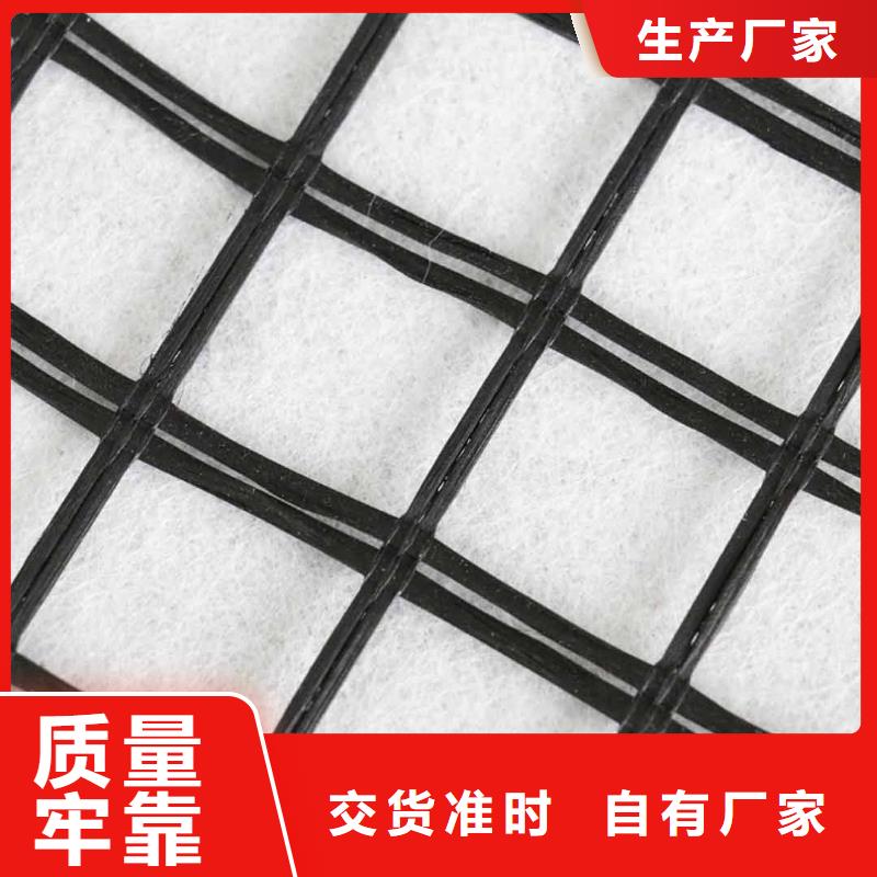 玻纖土工格柵鋼塑土工格柵現(xiàn)貨采購(gòu)