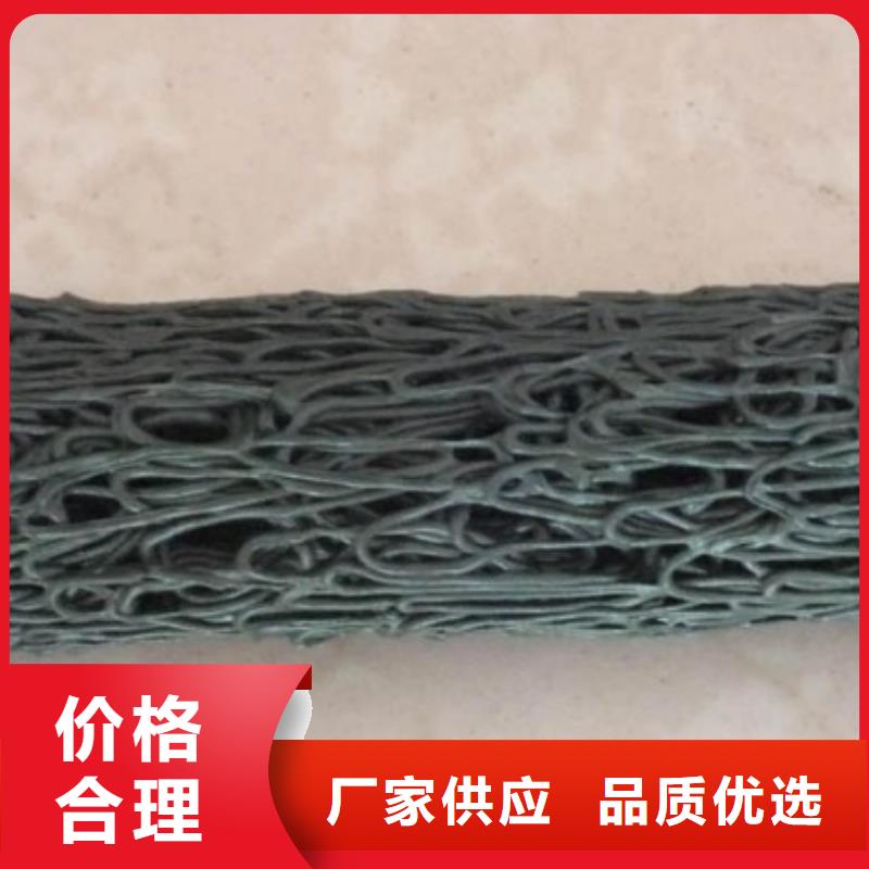 塑料盲溝三維土工網(wǎng)墊制造生產(chǎn)銷售
