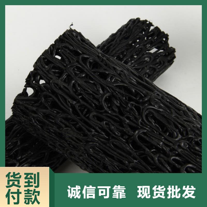 塑料盲溝三維土工網(wǎng)墊制造生產(chǎn)銷售