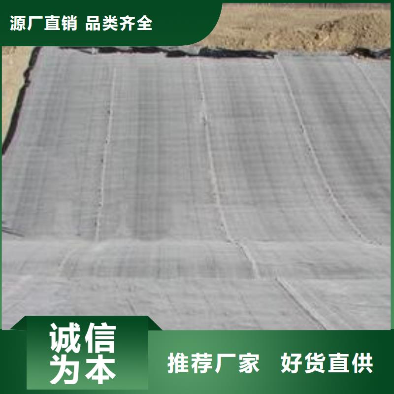 膨潤土防水毯三維復合排水網庫存充足