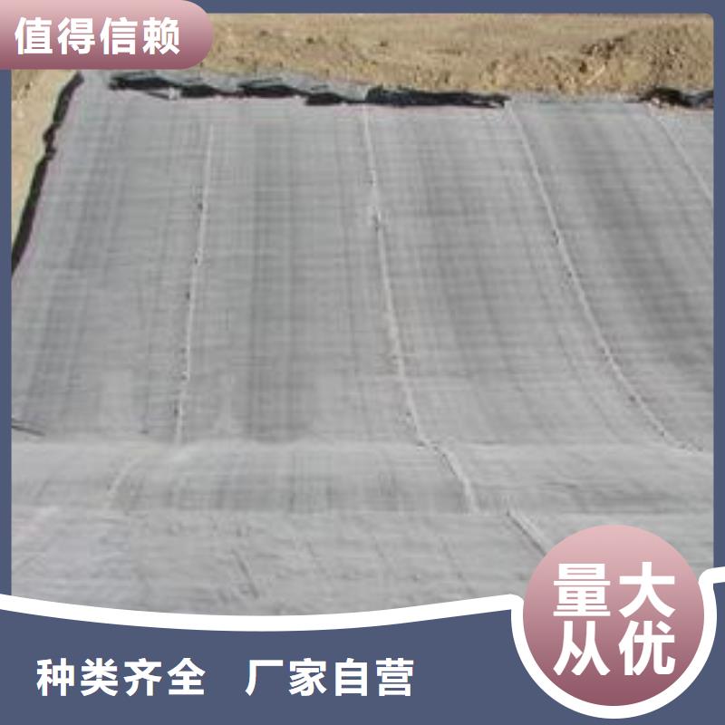 【膨潤土防水毯復合土工膜實地大廠】