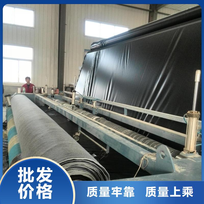 膨润土防水毯,土工布价格实在