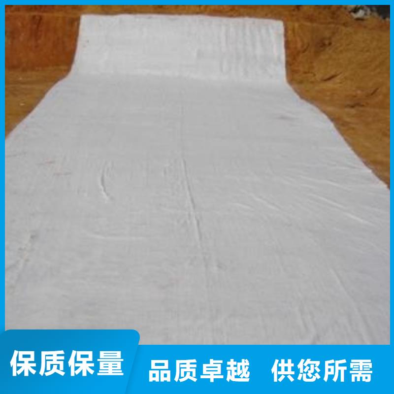 膨潤土防水毯滌綸土工格柵多種規(guī)格可選