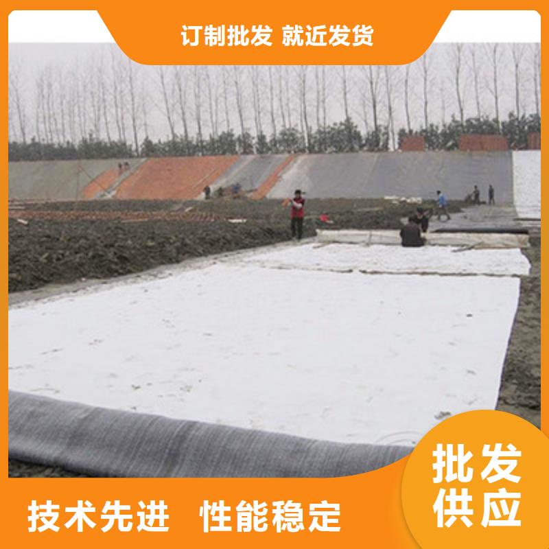 膨潤土防水毯膨潤土防水墊庫存充足