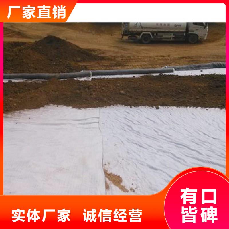 膨潤土防水毯滌綸土工格柵多種規(guī)格可選