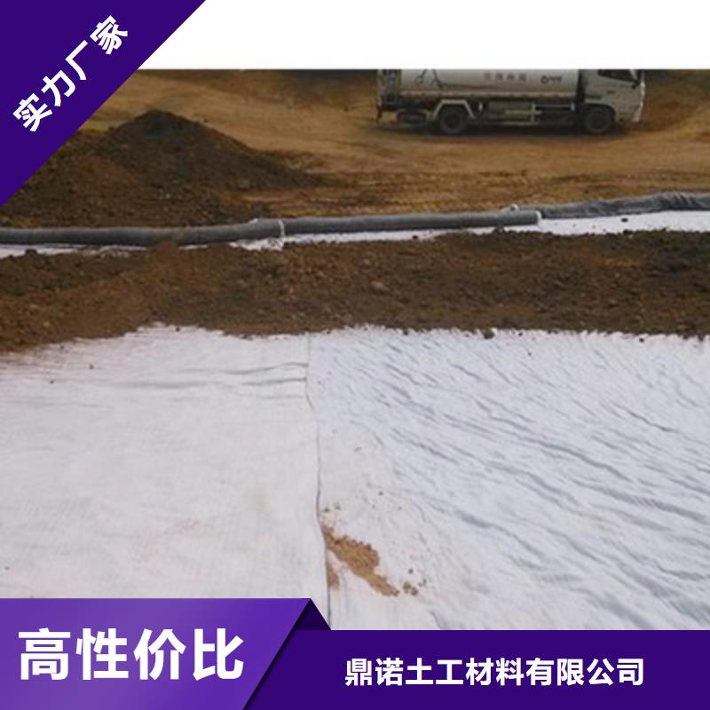 膨潤土防水毯膨潤土防水墊庫存充足