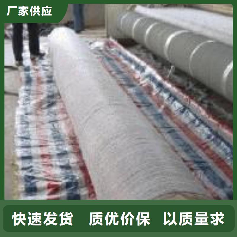 膨潤土防水毯護坡土工網(wǎng)優(yōu)良材質(zhì)