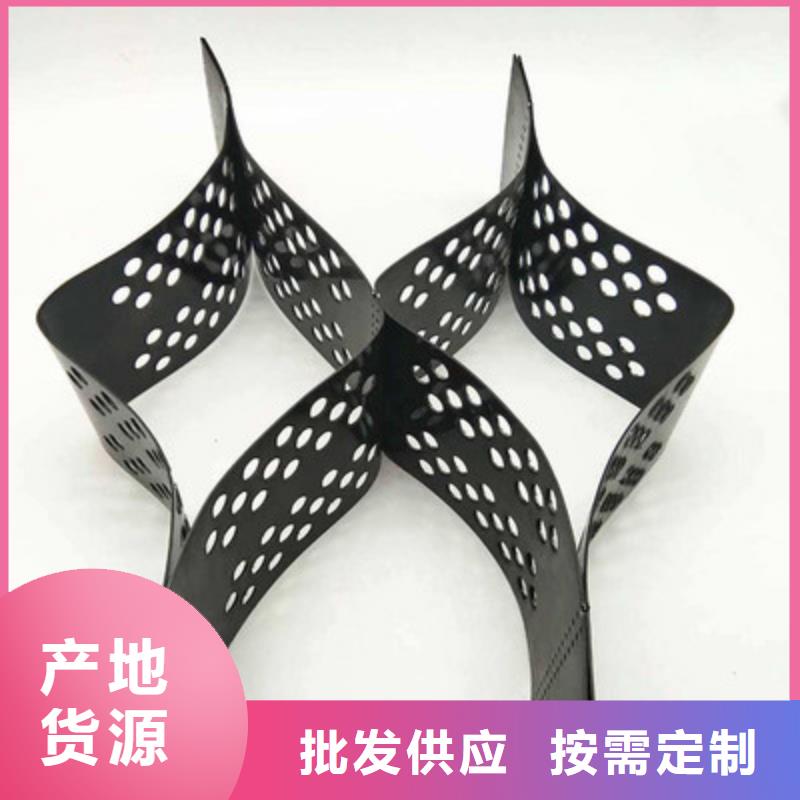土工格室-雙向塑料土工格柵量大從優(yōu)