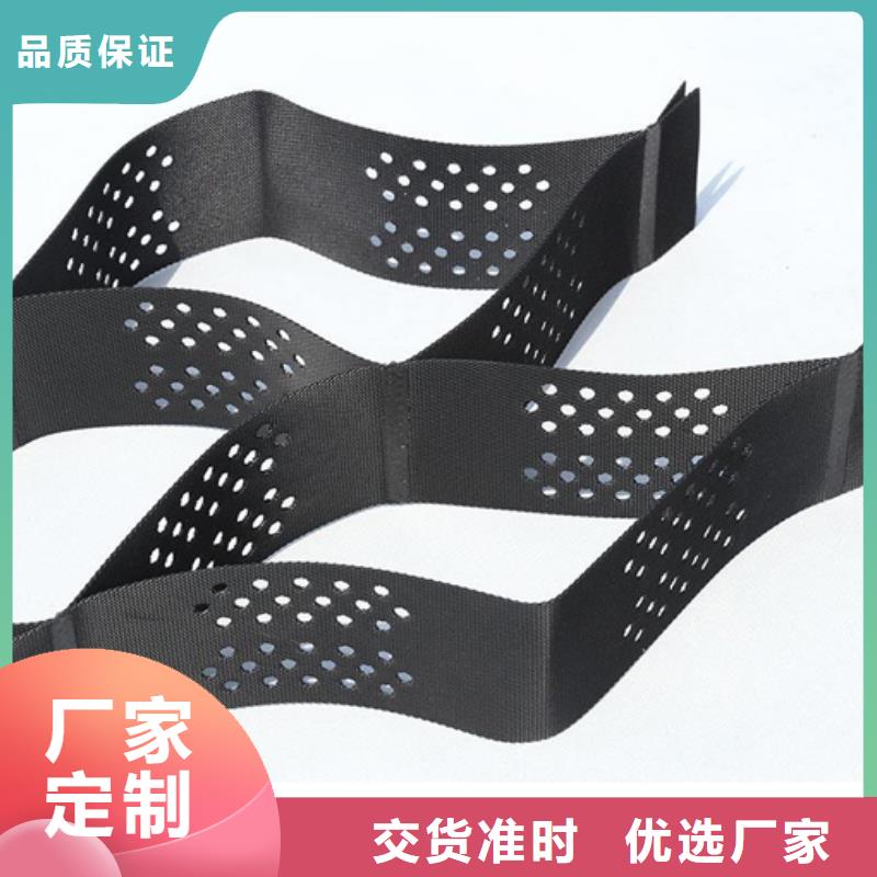 土工格室鼎诺土工格室-【三维植被网】主推产品