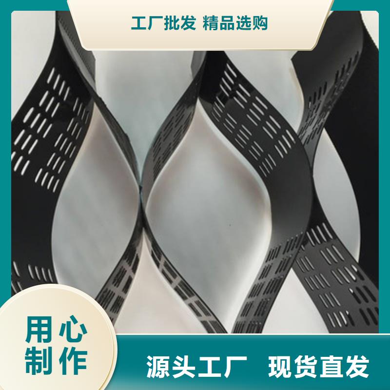 土工格室三維土工網墊認準大品牌廠家