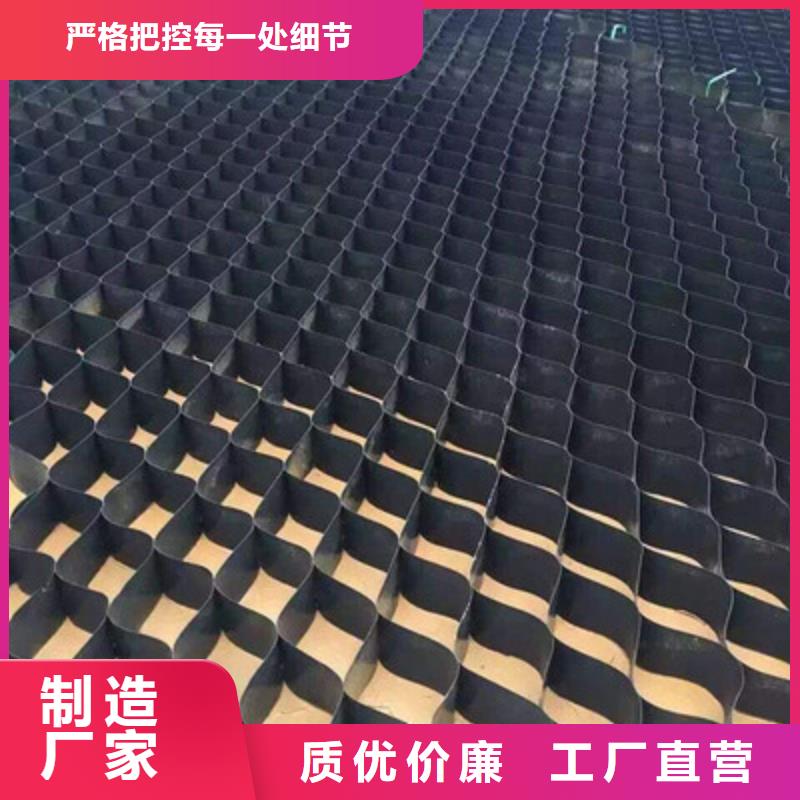 土工格室土工席墊廠家