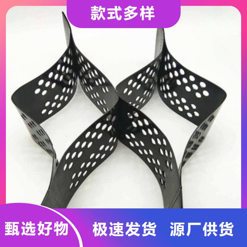 土工格室三維復合排水網規格齊全